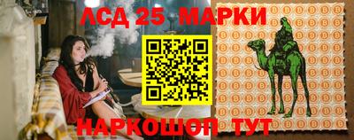 скорость Краснознаменск