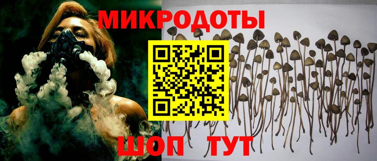 Псилоцибиновые грибы прущие грибы Донской